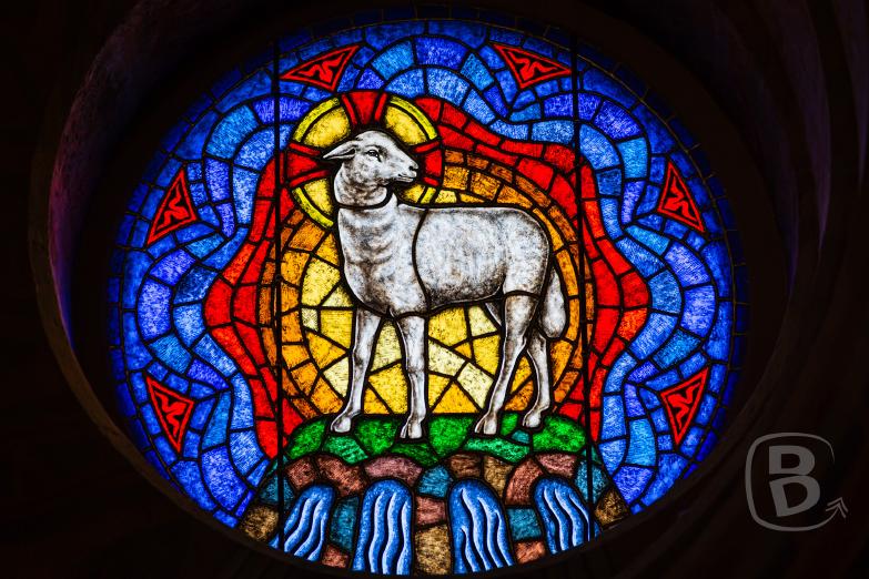 Budapest | Rundfenster mit der Darstellung des Opferlammes in der Matthiaskirche