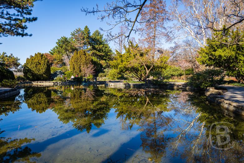 Budapest | Japanischer Garten auf der Margareteninsel