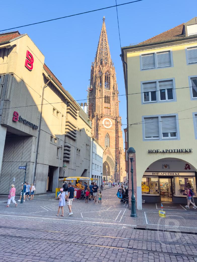 Freiburg | Münster