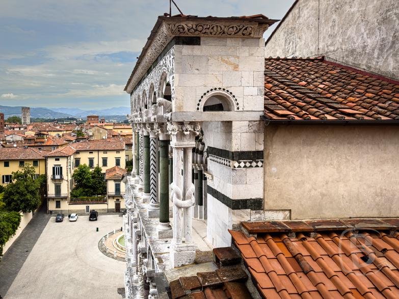 Lucca | Duomo di San Martino - Knotensäule