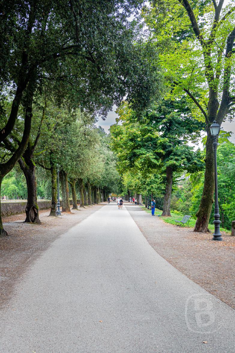 Lucca | Stadtmauer