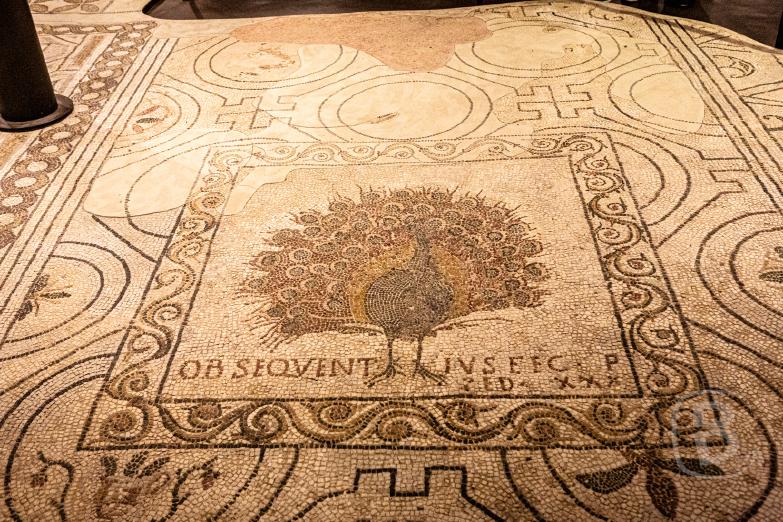 Florenz | Santa Reparata - Mosaik