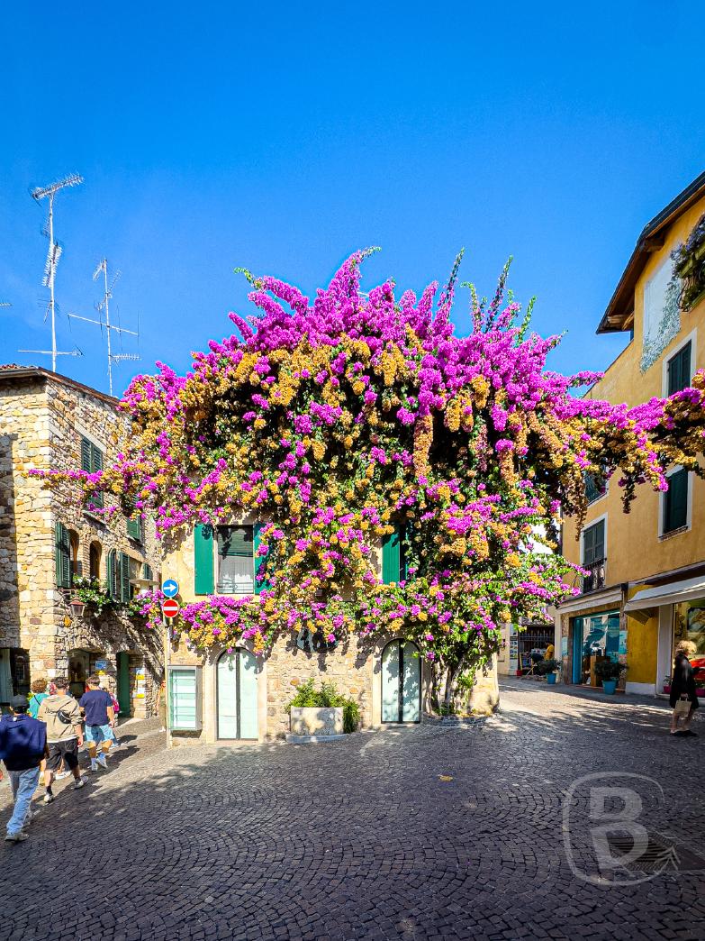 Sirmione | Bougainville