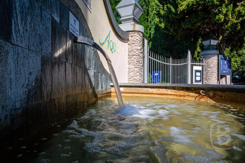 Sirmione | Brunnen an der Terme Catullo