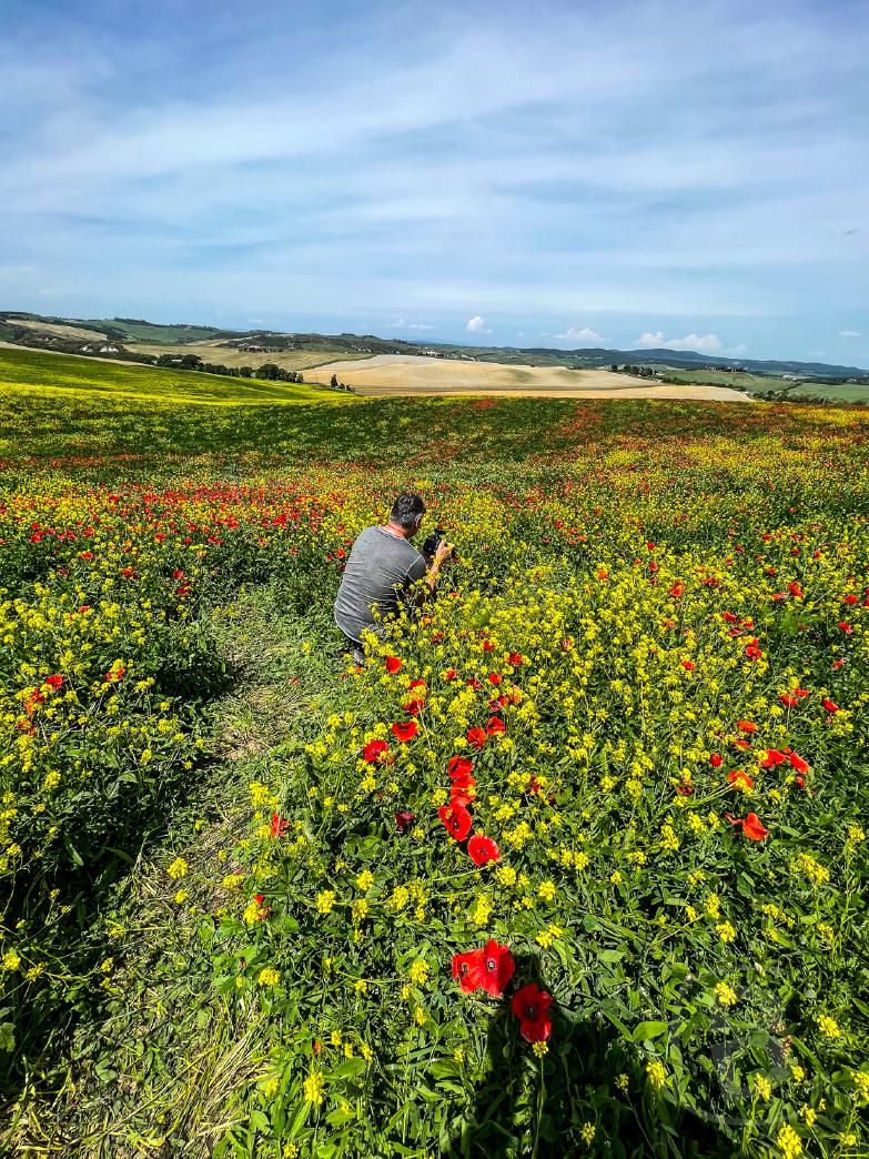 San Quirico d’Orcia | Dirk bei der Arbeit im Blumenfeld