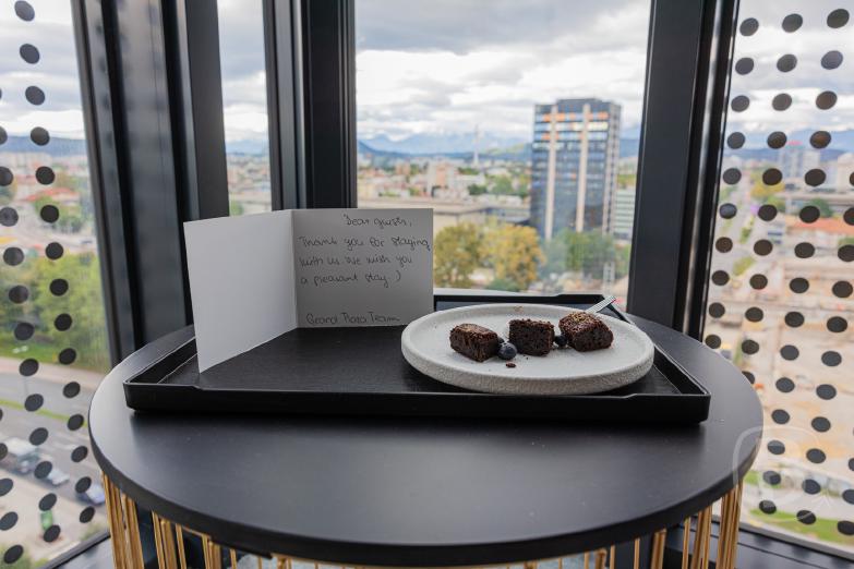 Slowenien/Ljubljana | Abschiedsgruß vom Grand Plaza Hotel