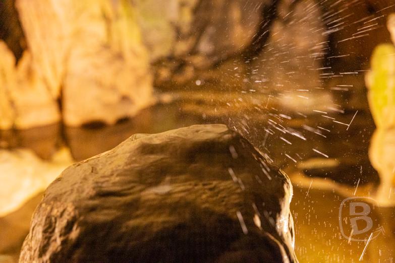 Slowenien/Postojna | Höhle von Postojna