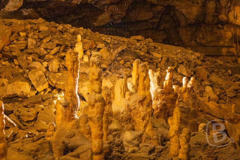 Slowenien/Postojna | Höhle von Postojna