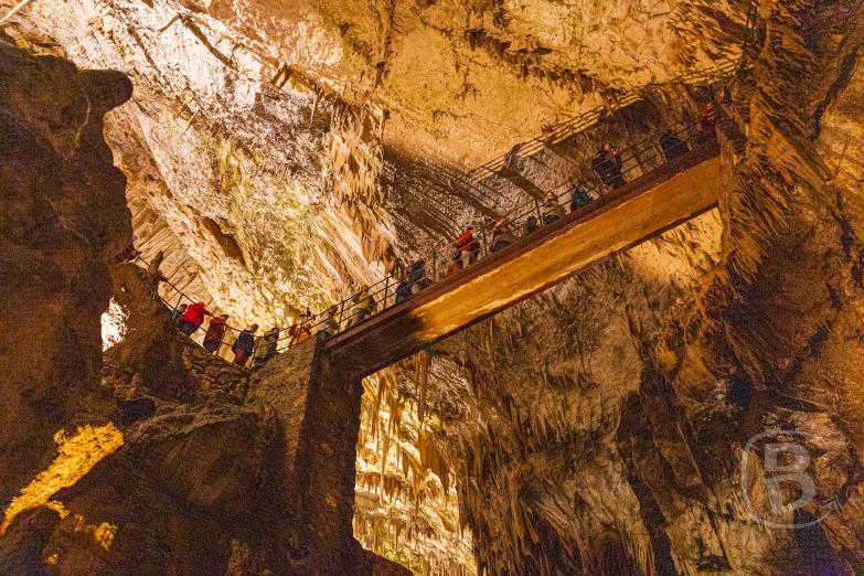 Slowenien/Postojna | Höhle von Postojna