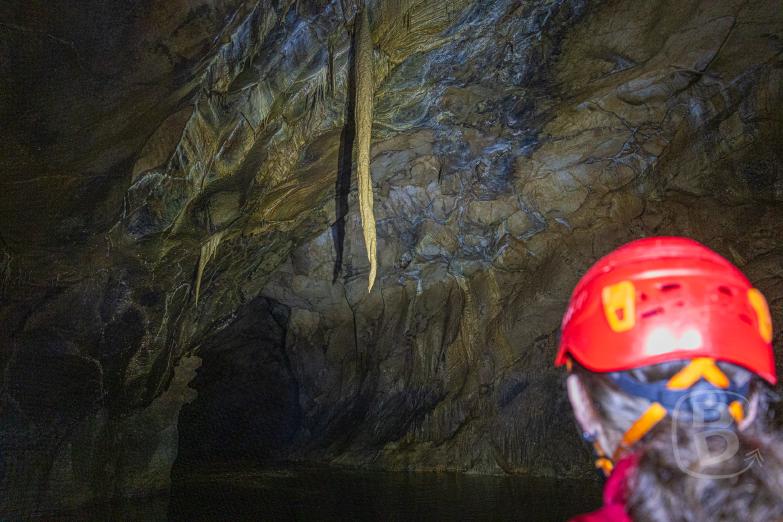 Slowenien/Križna jama | Schlangenschwanz-Stalaktit