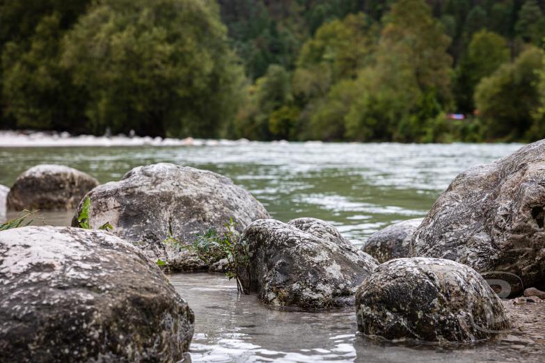 Slowenien/Bovec | Steine im Fluß Soča