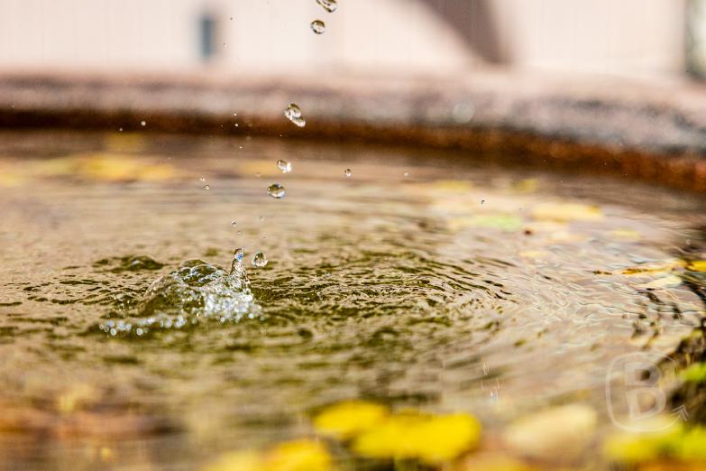 Italien/Truden | Wassertropfen im Brunnen