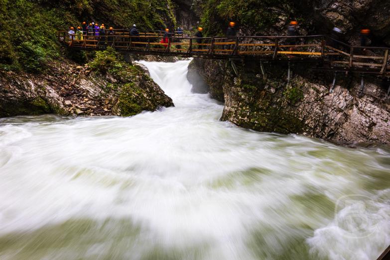 Slowenien/Bled | Vintgar-Klamm