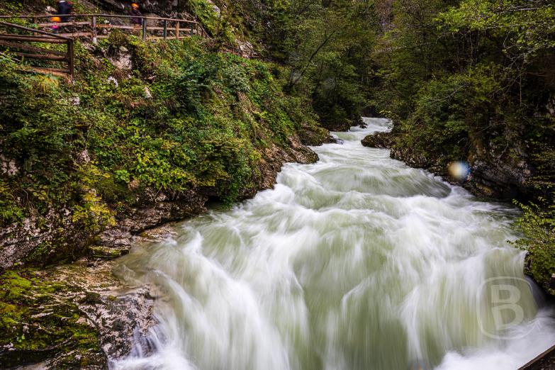 Slowenien/Bled | Vintgar-Klamm