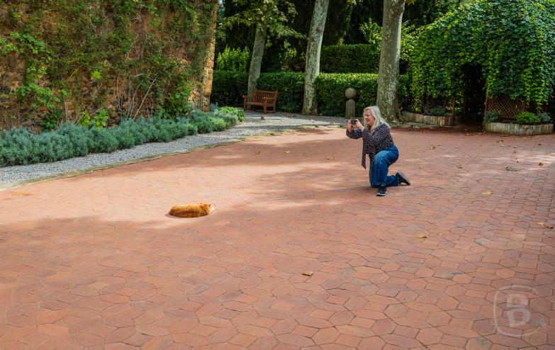 Púbol / Gala Dalí Castle | Jeannette fotografiert die Katze