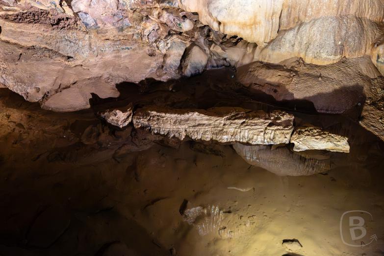 Höhle von San José | Krokodil