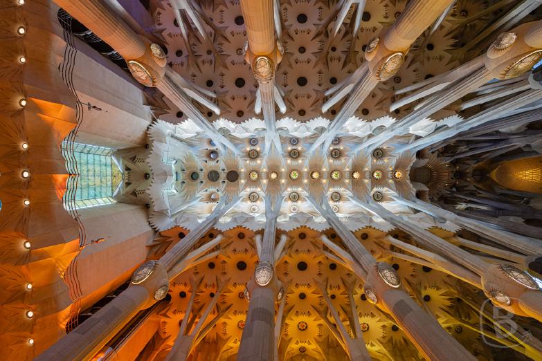Barcelona / Sagrada Família | Säulen und Decke