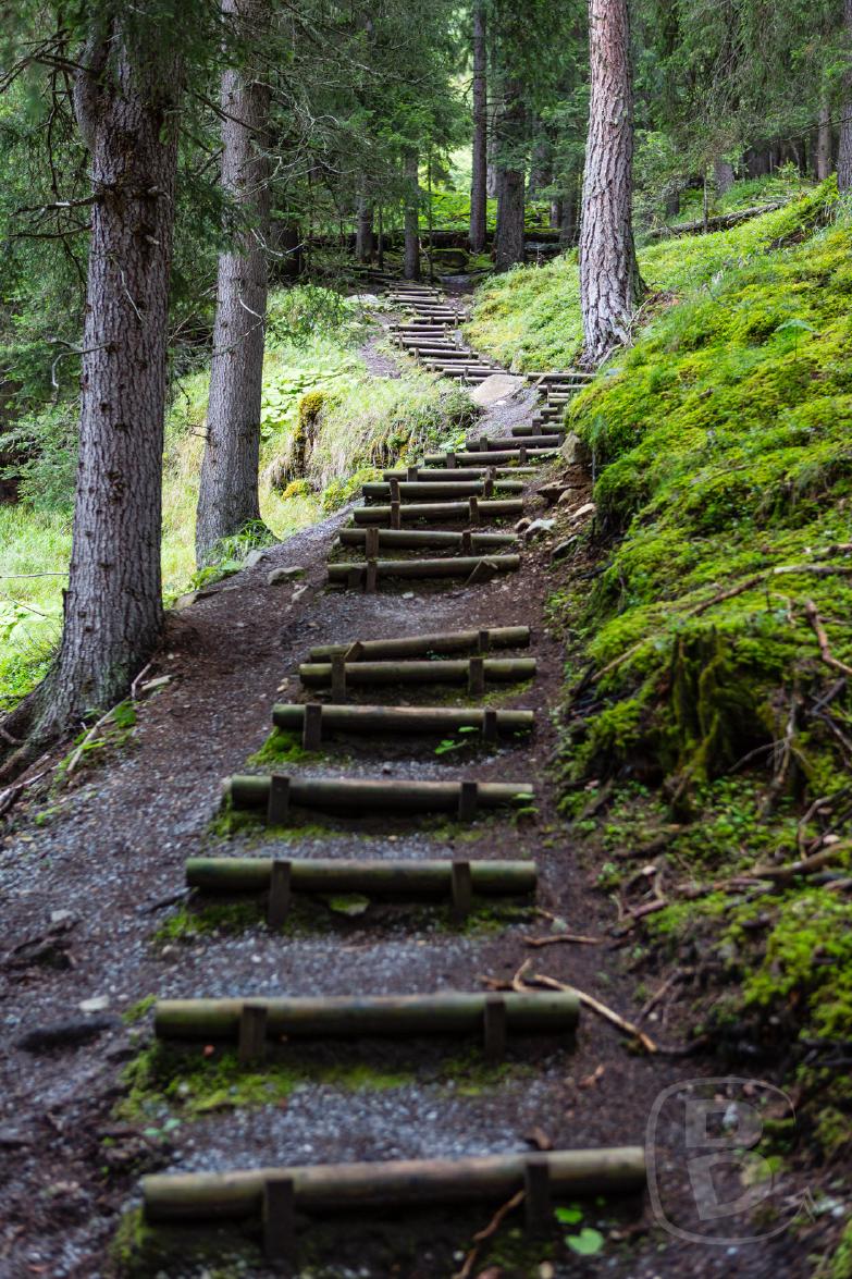 Moostalwanderweg | Anstieg auf dem Moostalwanderweg