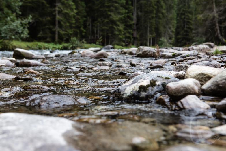 Moostalwanderweg | Murmelndes Bächlein Rosanna
