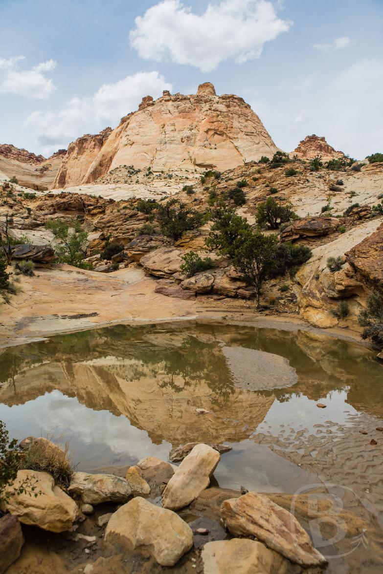 Capitol Reef National Park | The Tanks auf dem Capitol Gorge Trail