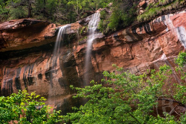 Zion National Park | Lower Emerald Pools
