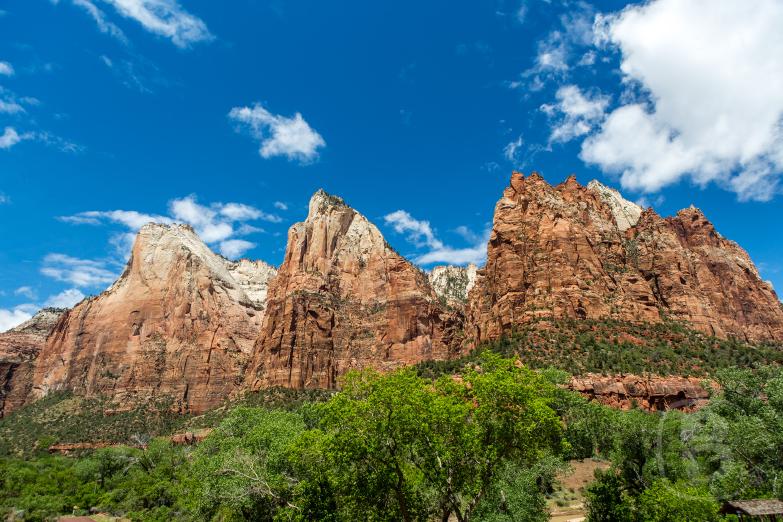 Zion National Park | Three Patriarchs
