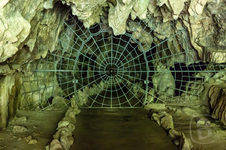 Sequoia National Park | Spider Web am Eingang zur Crystal Cave