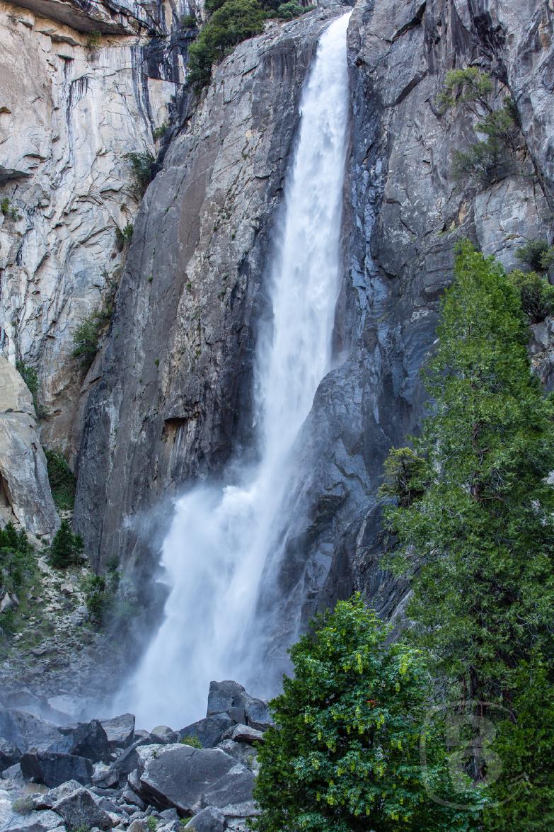 Yosemite National Park | Blick auf den Lower Yosemite Fall