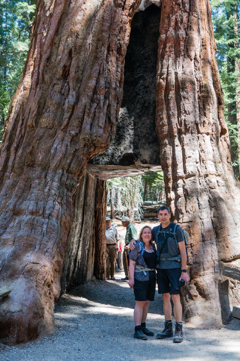 Yosemite National Park | California Tunnel Tree am Mariposa Grove