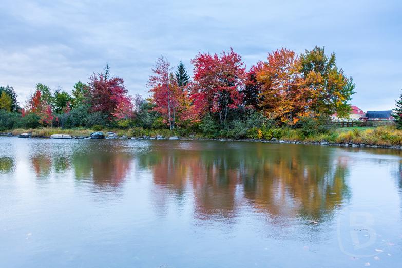 Mount Dessert | Blick auf den Mount Desert Narrows