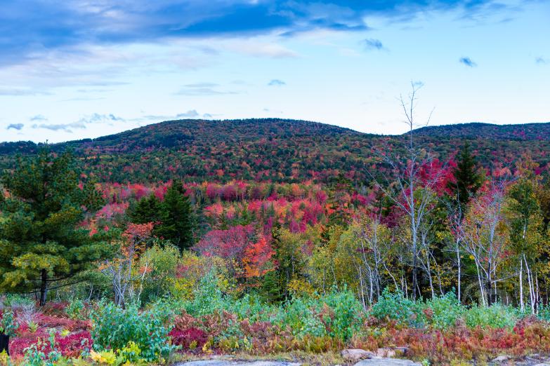 Acadia NP | Blick auf den Mount Desert