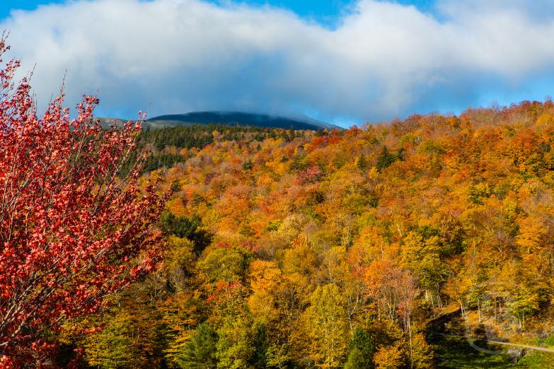 Mount Washington Auto Rd | Blick auf Mount Washington