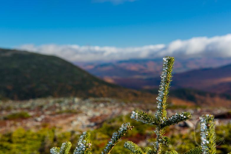 Mount Washington Auto Rd | Vereiste Natur