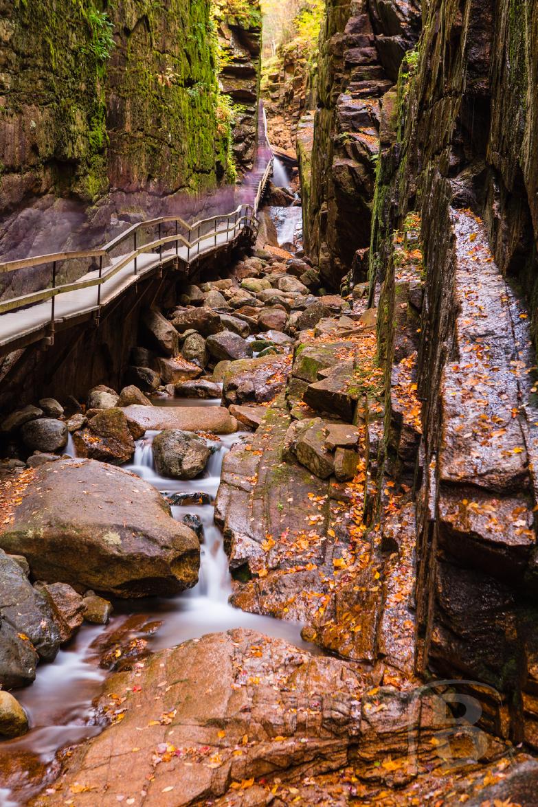 Franconia Notch SP | The Flume
