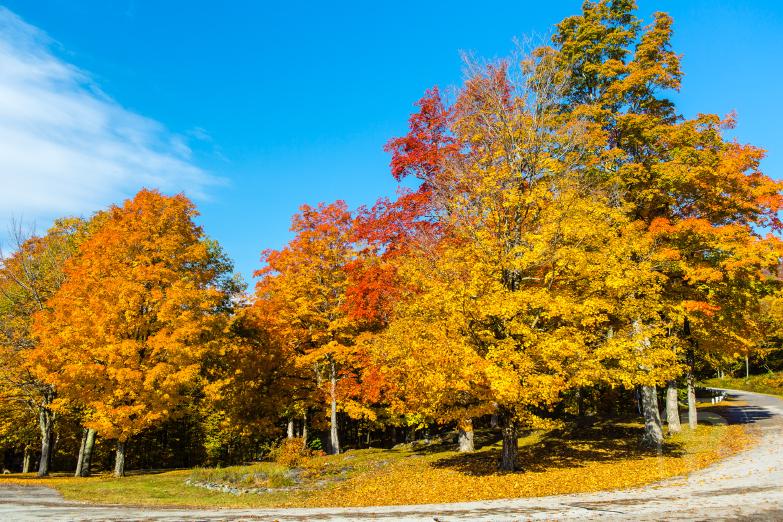 Manchester / Mount Equinox | Skyline Drive