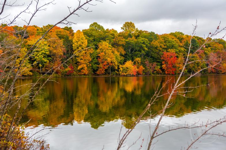 Baldwinsville | Beaver Lake County Park / Mud Lake
