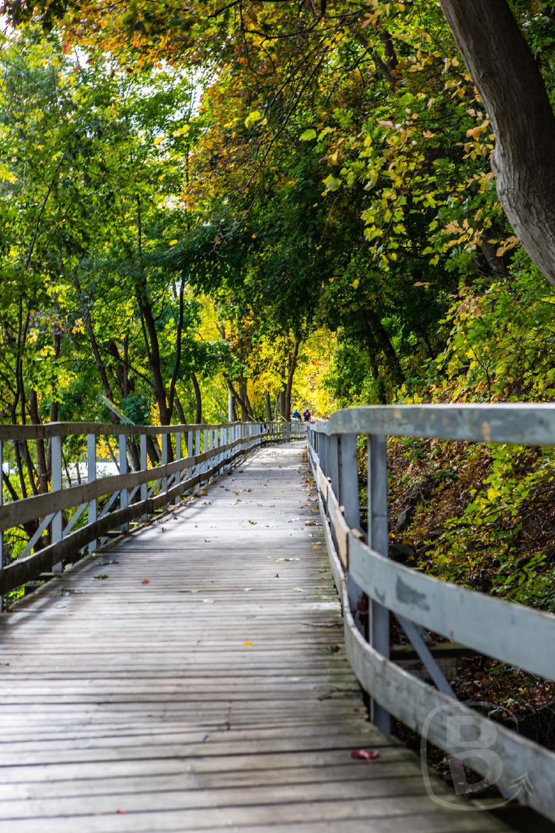 Niagara Falls | Steg des White Water Walk