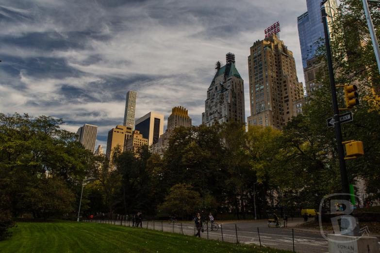 New York | Central Park