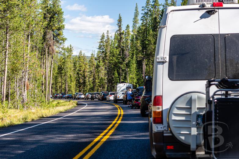 Yellowstone NP | Stau am Eingang