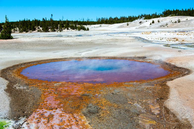Yellowstone NP | Norris Geyser Basin - Whirligig Geyser