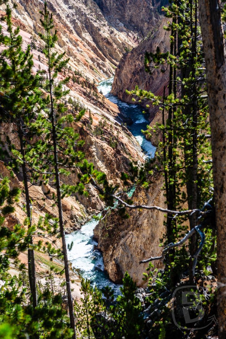 Yellowstone NP | Blick in den The Grand Canyon of the Yellowstone