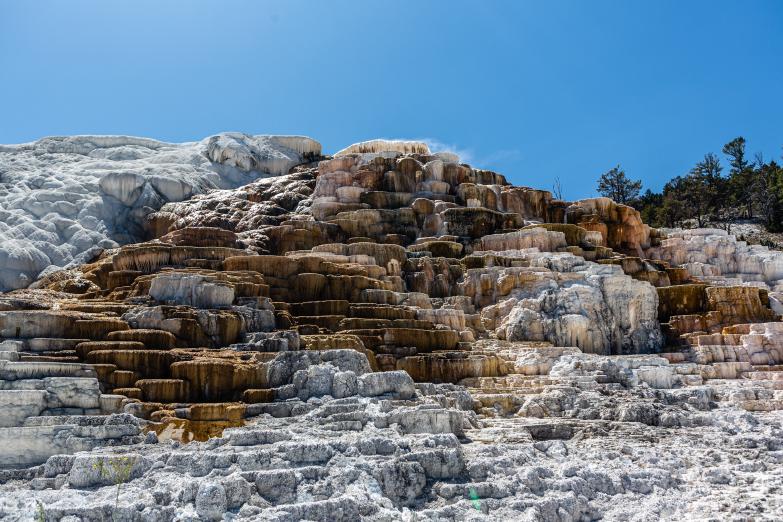 Yellowstone NP | Mammoth Hot Springs - Palette Spring