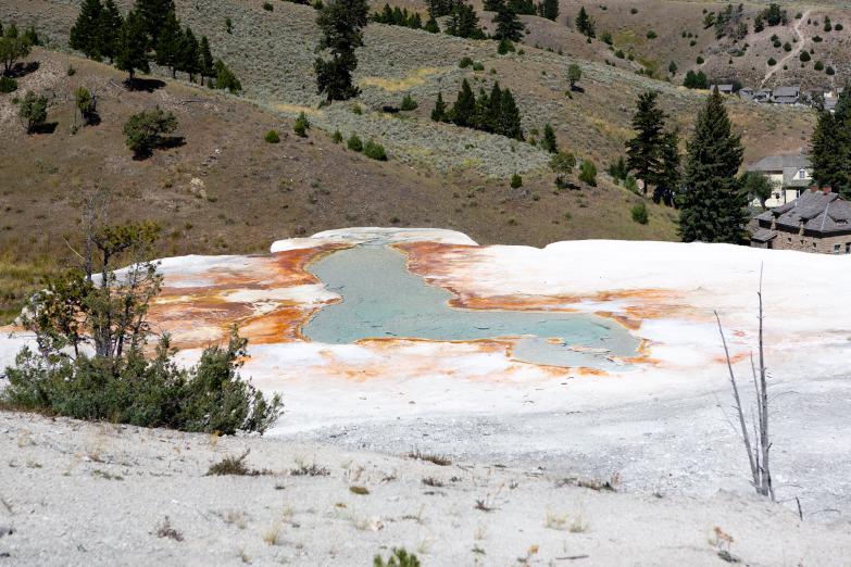 Yellowstone NP | Mammoth Hot Springs - Palette Spring