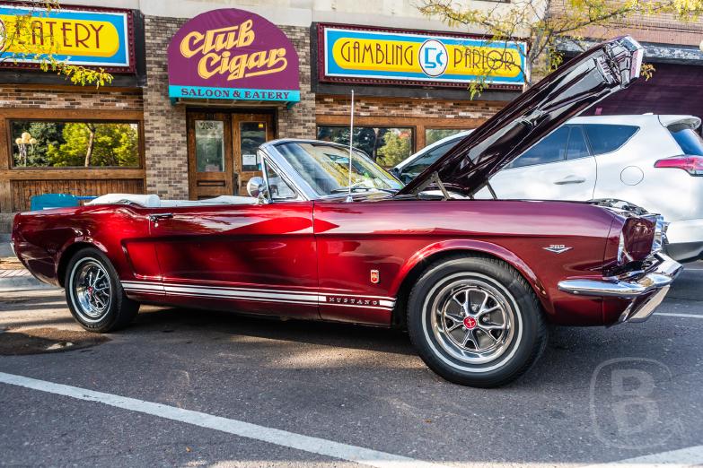 Great Falls | Jeannettes Lieblings-Mustang