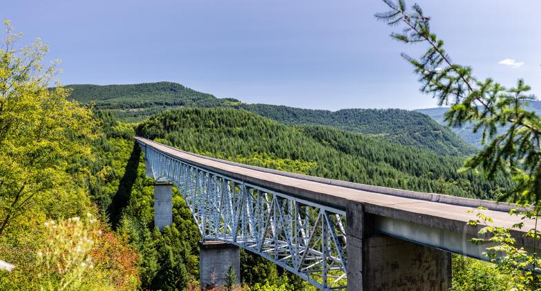Mount St Helens | Hoffstadt Bridge