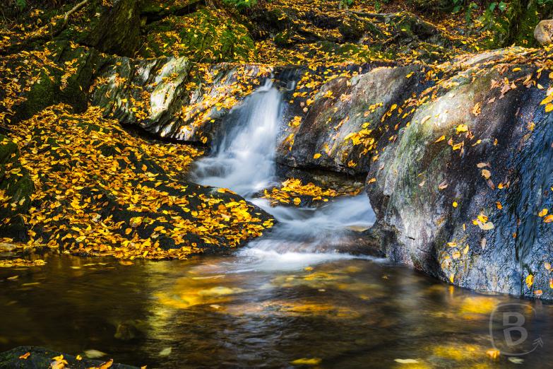 Vermont | Bingham Falls