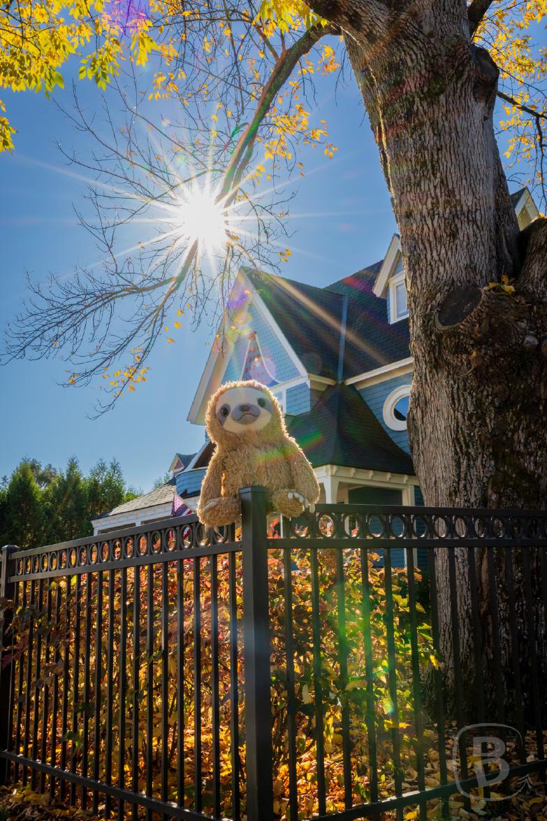 Vermont | Stowe - Instagramfaultier