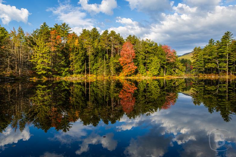 New Hampshire | Red Eagle Pond