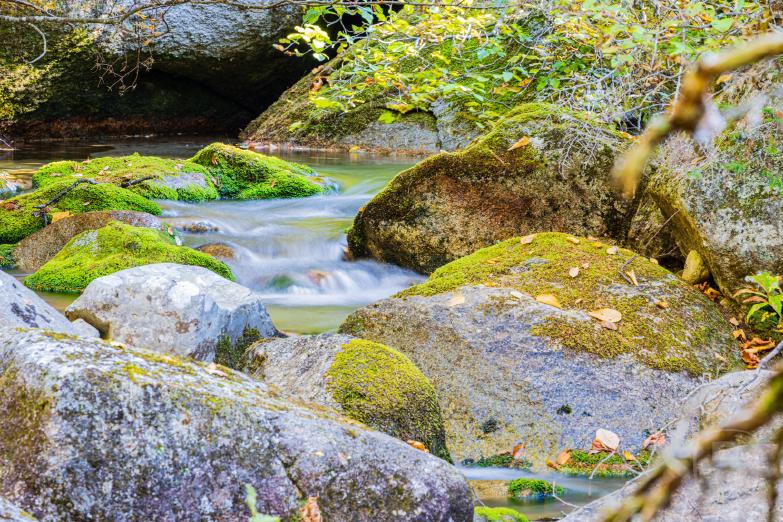 New Hampshire | Baxter State Park - Katahdin Stream