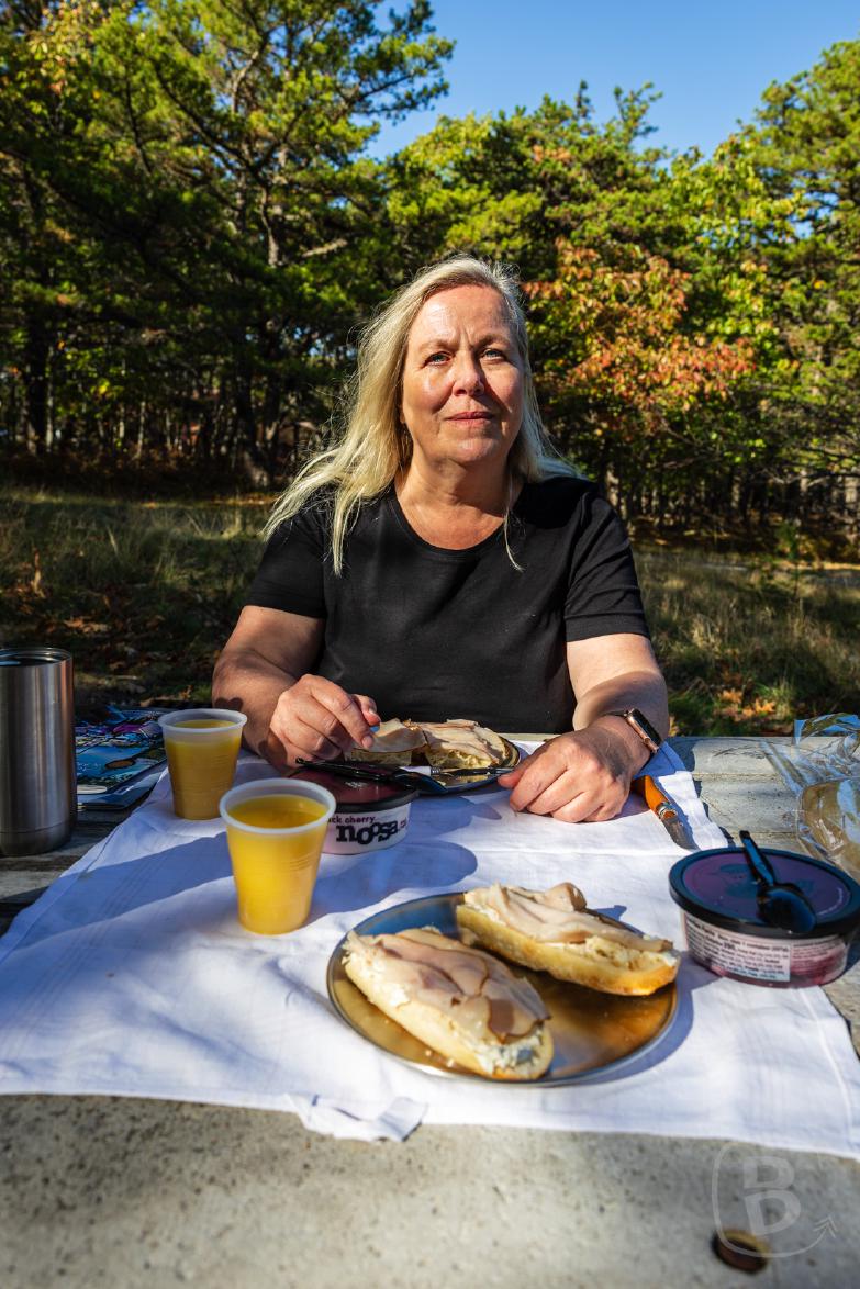 Maine | Acadia NP - Bear Brook Picnic Area
